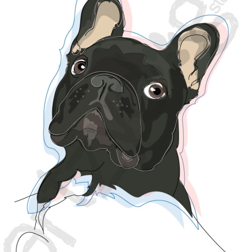 French Bulldog - Black